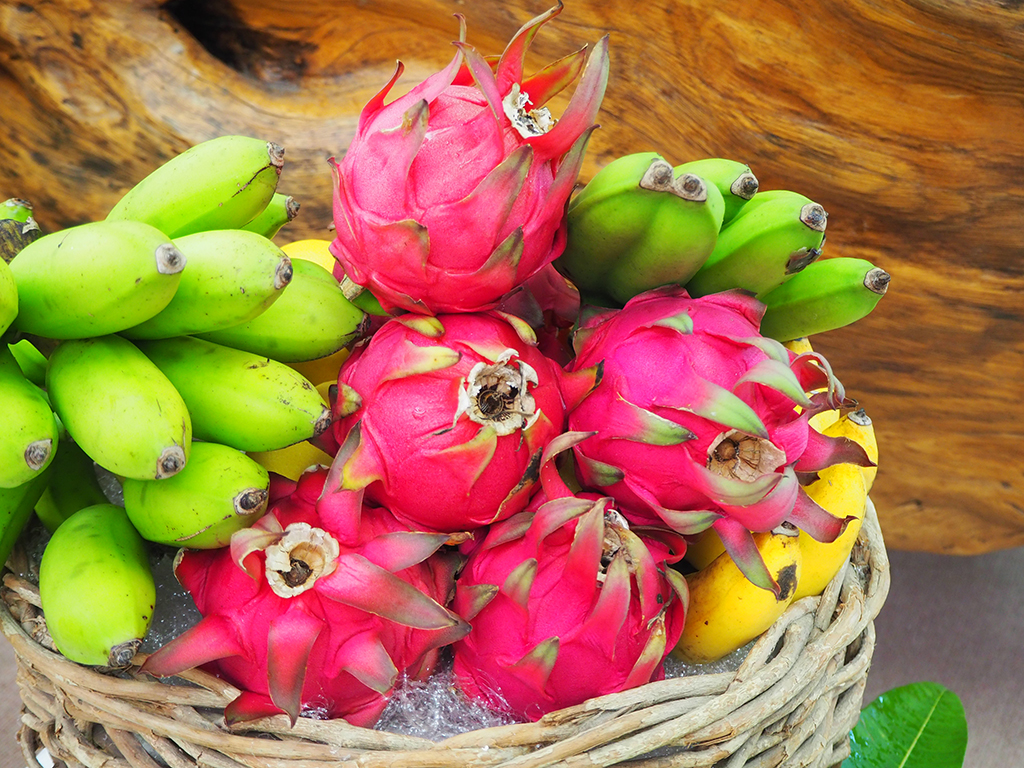 03_ドラゴンフルーツと島バナナ